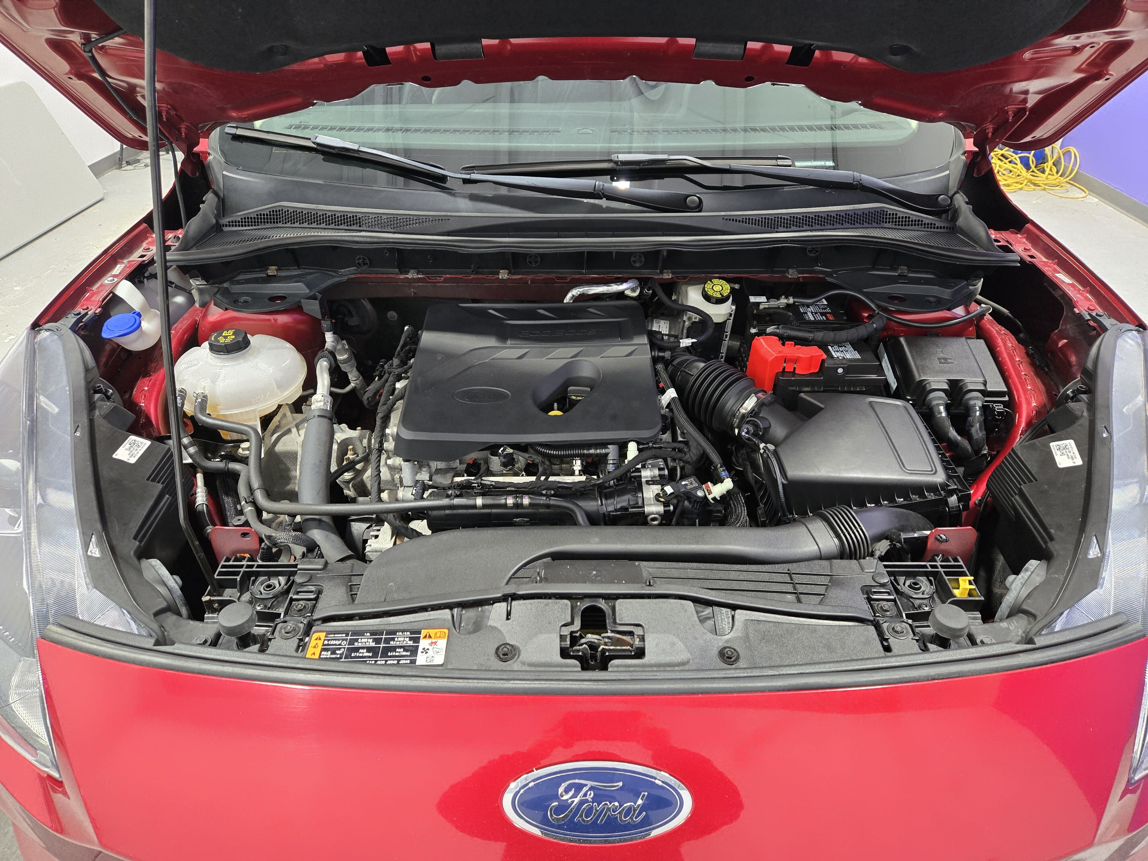 Image-6